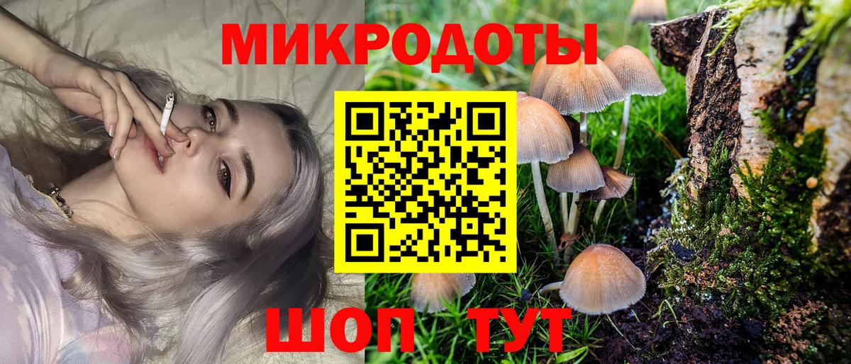 Заволжье  Галлюциногенные грибы мицелий  Вход с VPN 